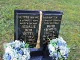 image of grave number 807231